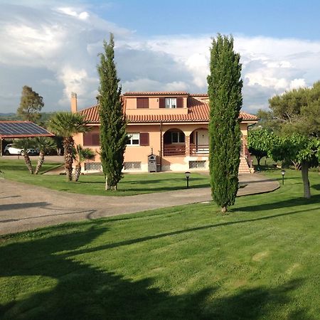Bed & Breakfast La Volpe E L'Uva 圣塔马利奈拉 外观 照片